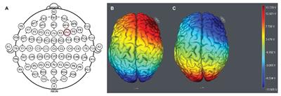 Effect of Modulating Activity in the Right DLPFC on Revenge Behavior: Evidence From a Noninvasive Brain Stimulation Investigation